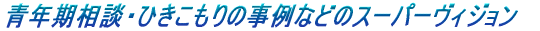NkEЂȂǂ̎̃X[p[rW
